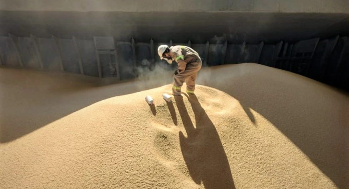 Fumigação de mercadorias a granel